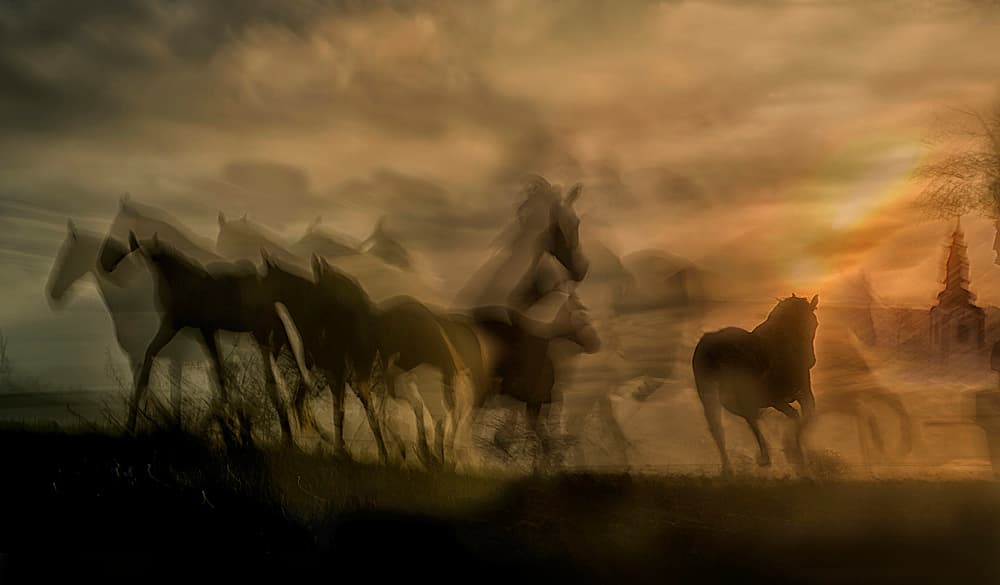 Running Horses at Sunset by Milan Malovrh — canvas wall art