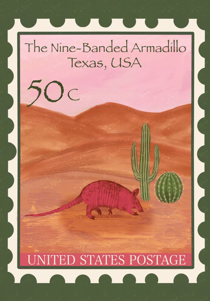 Texas Desert Armadillo by Aliya Putrus — canvas wall art