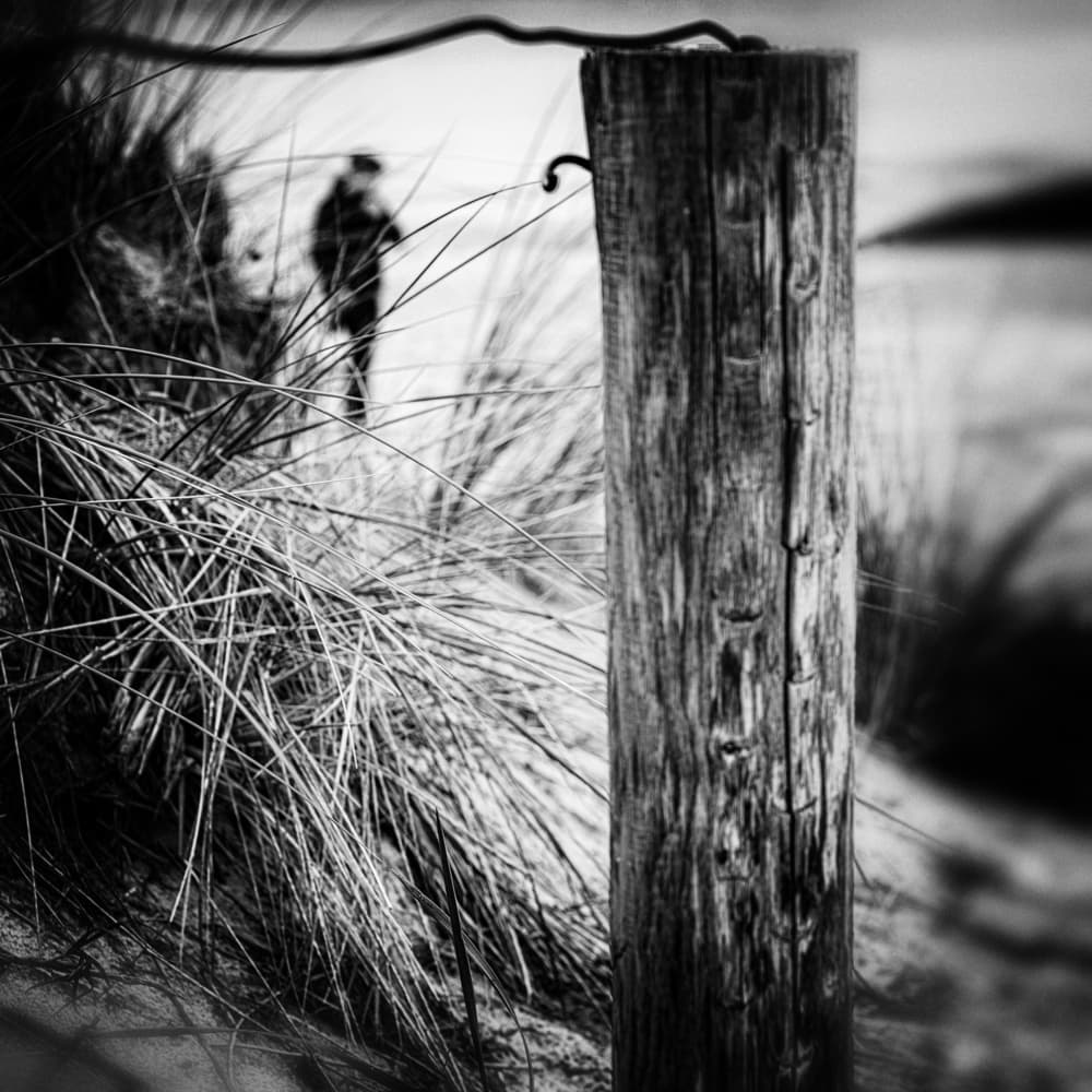 Solitary Figure Coastal Dunes by Ina Tänzer — canvas wall art