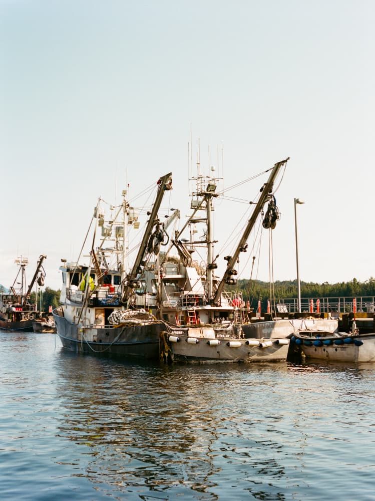 Coastal Fishing Boats by Bethany Young — canvas wall art