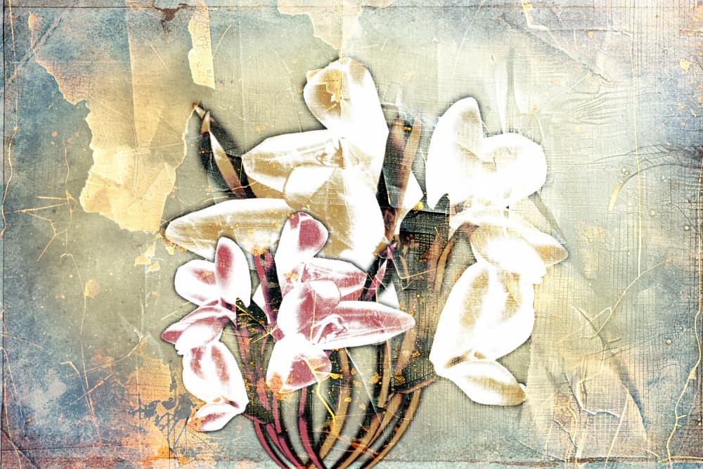 Distressed Floral Bouquet by Rafal Kulik — canvas wall art