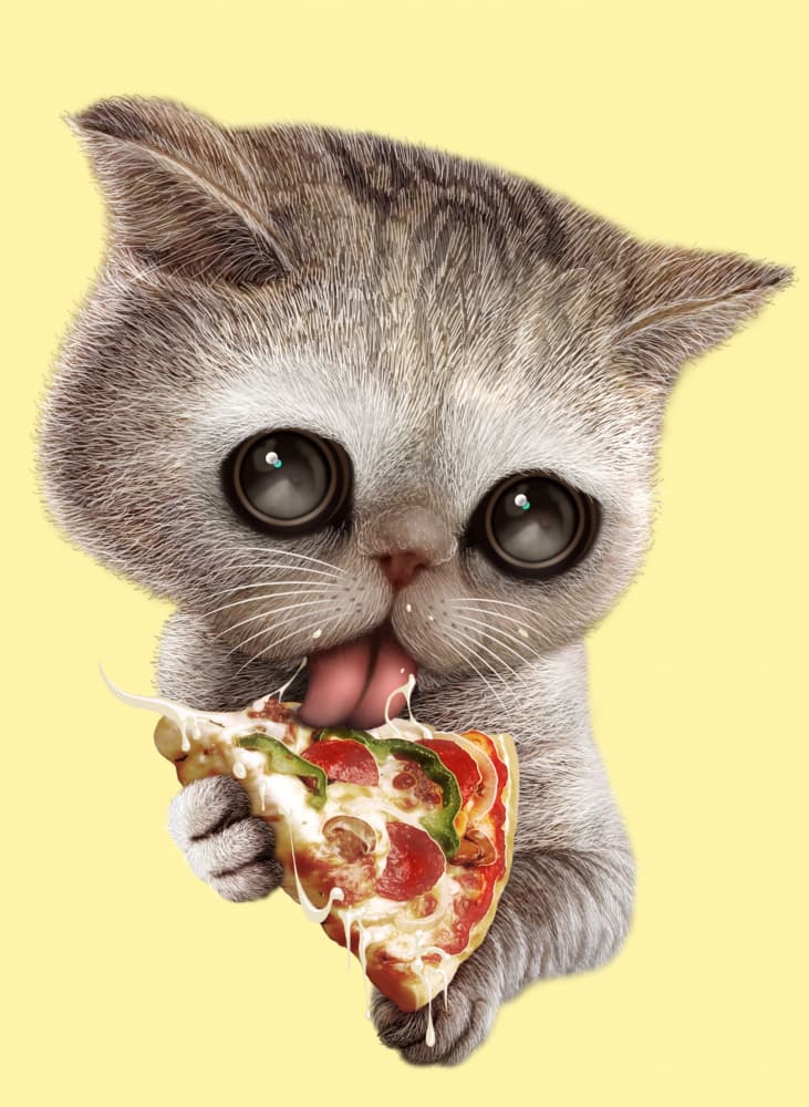 Hungry Kitten Pizza by Adam Lawless — canvas wall art