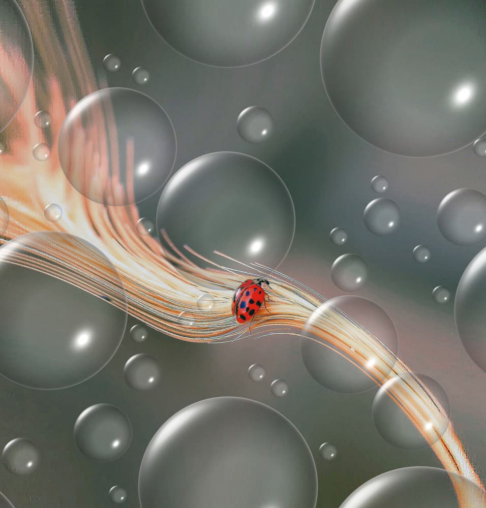 Ladybug on Glowing Fibers by Thierry Dufour — canvas wall art