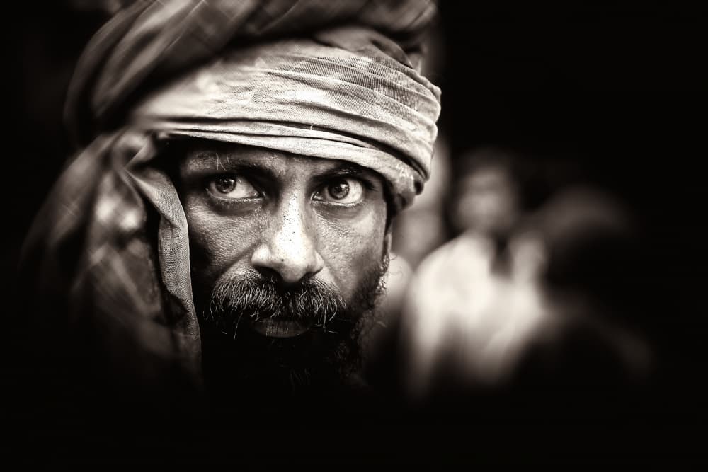 Intense Soulful Gaze by Gloria Staffa — canvas wall art