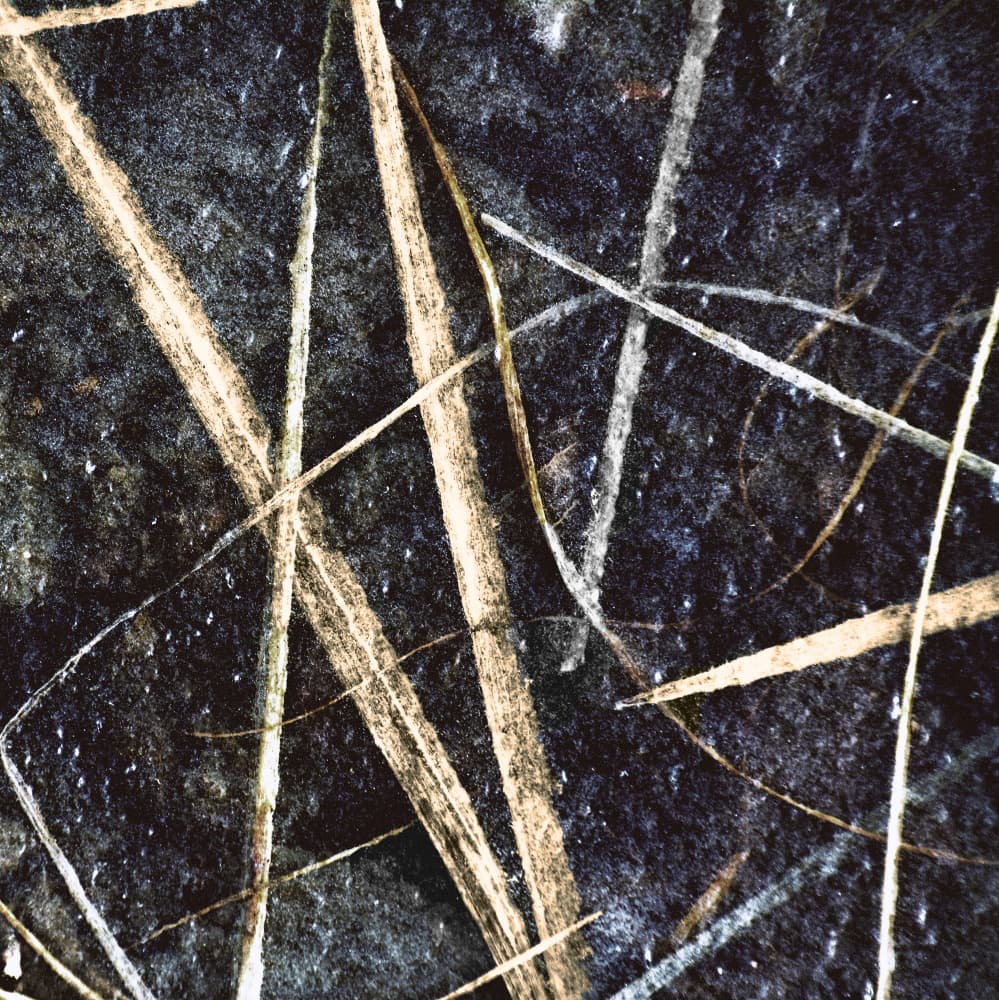 Abstract Frozen Grass by Christina Sillen — canvas wall art