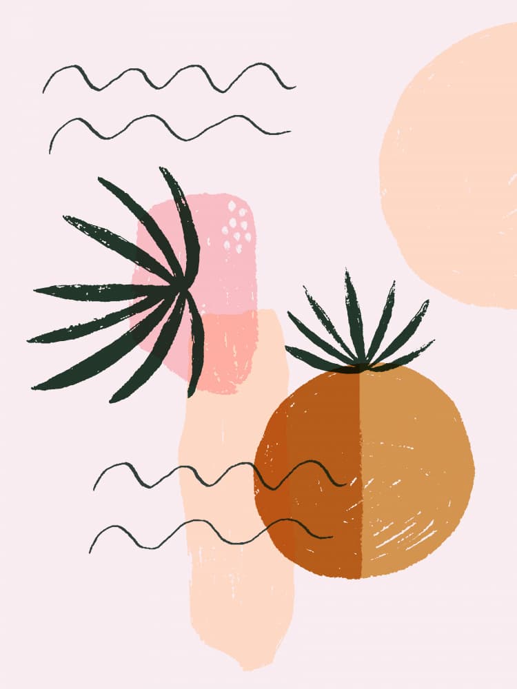 Abstract Desert Botanicals by Aislinn Simmonds — canvas wall art