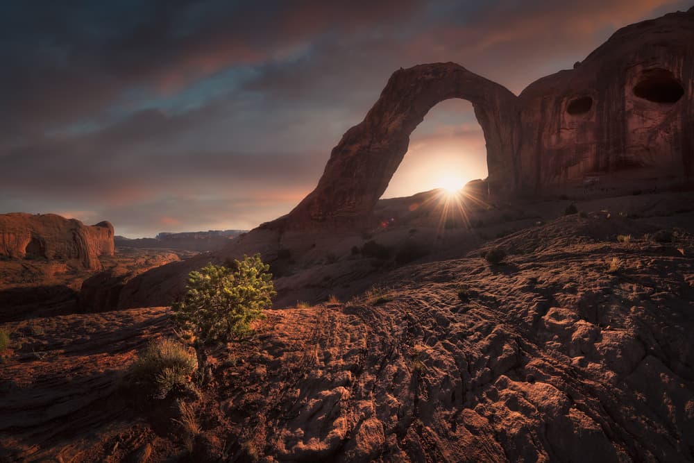 Desert Arch Sunset Glow by Carlos F. Turienzo — canvas wall art