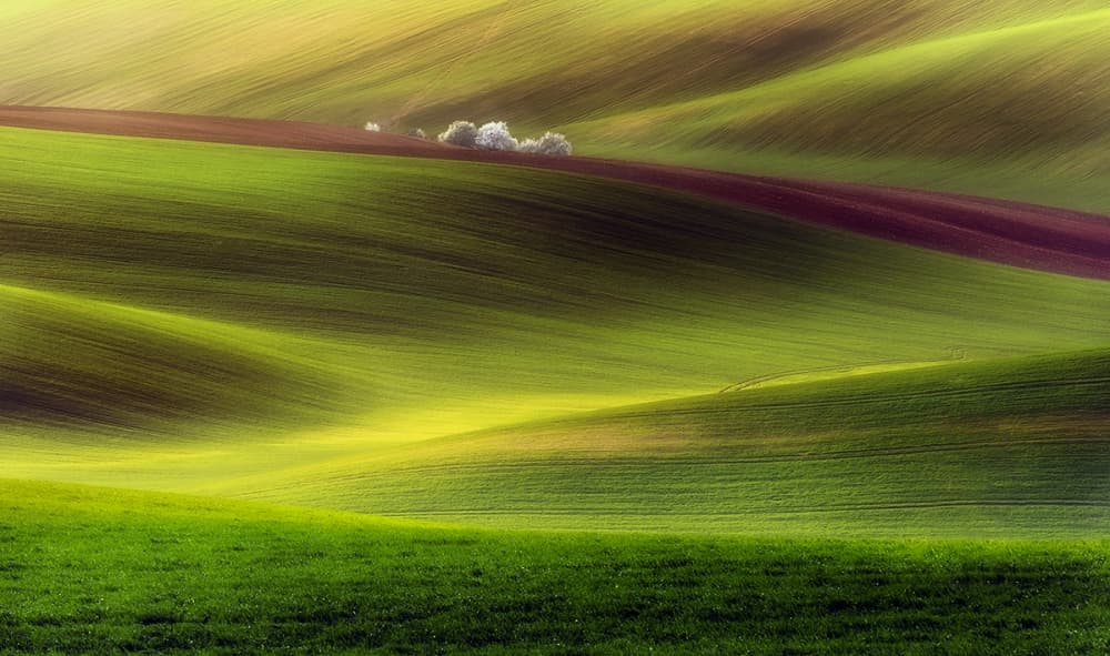 Rolling Green Hills by Piotr Krol (Bax) — canvas wall art