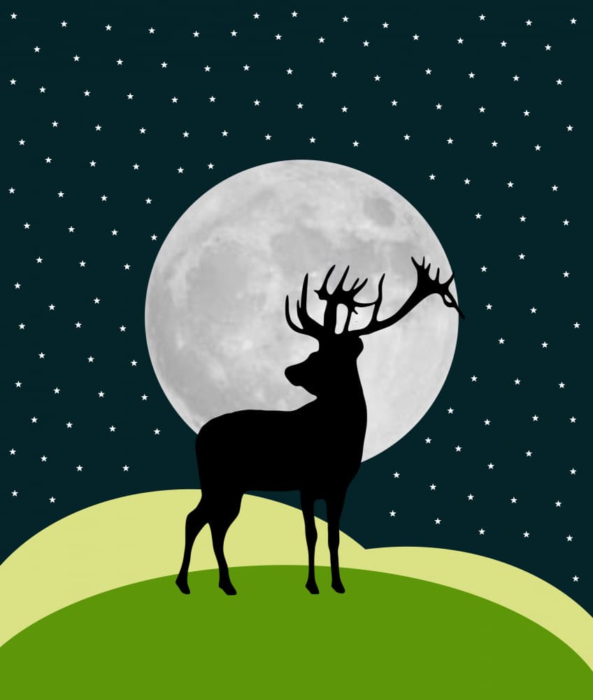 Stag Under The Moon by Vesuvik Designs — canvas wall art