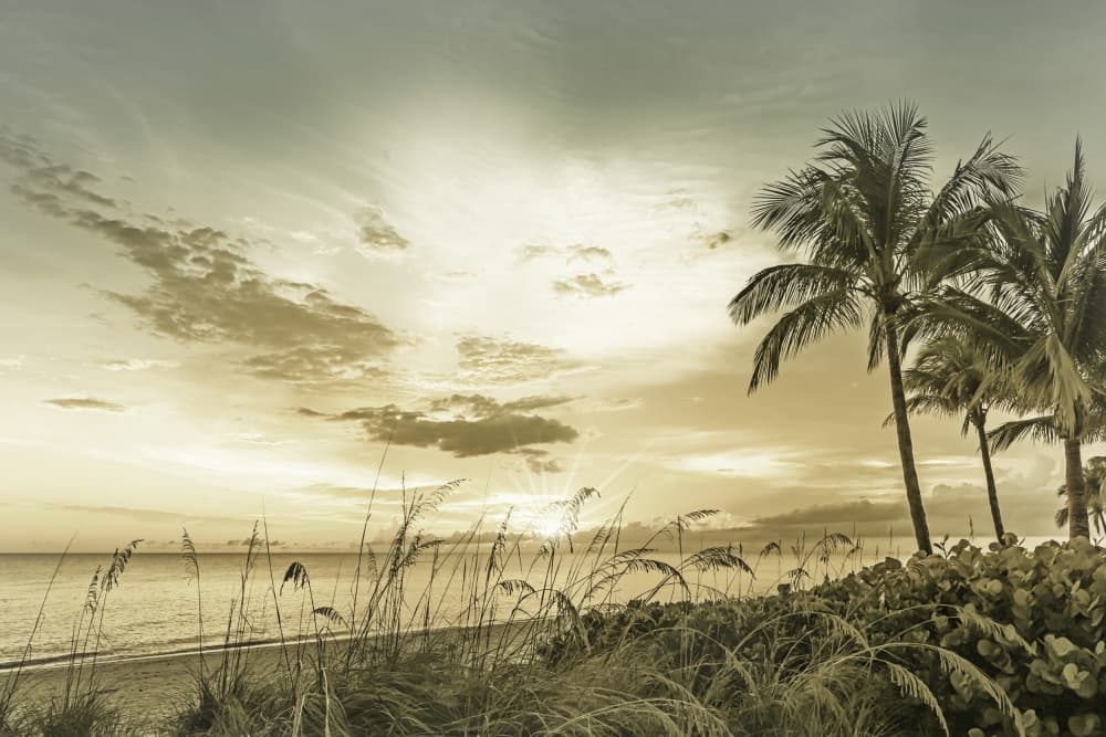 Tropical Beach Sunset by Melanie Viola — canvas wall art