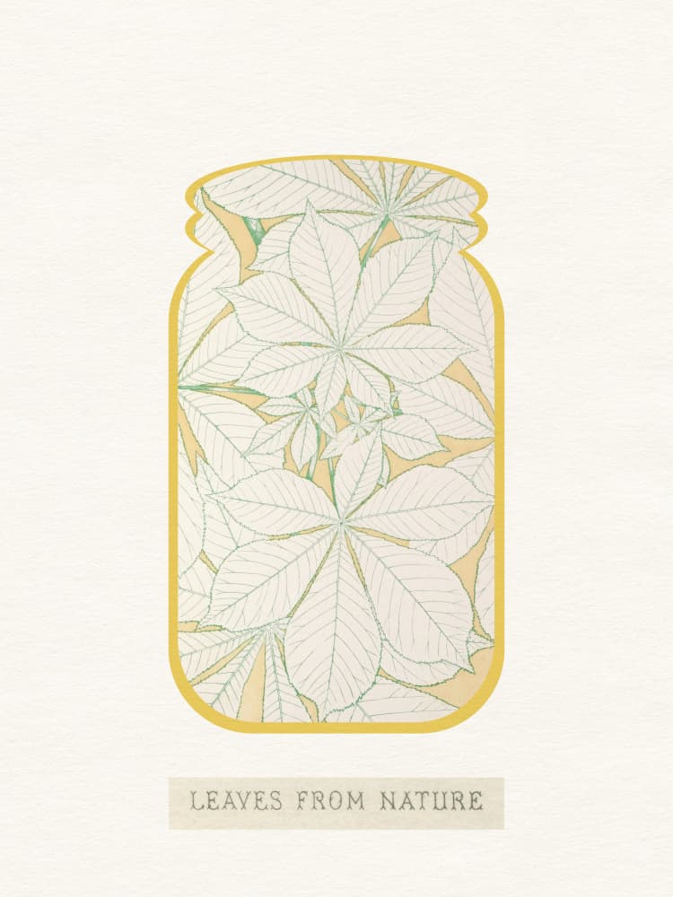 Leaves In A Jar by Wild Violets — canvas wall art