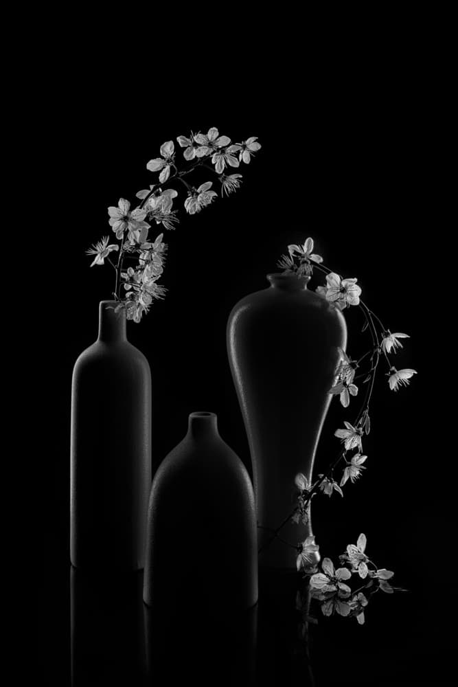 Serene Floral Arrangement by Lydia Jacobs — canvas wall art