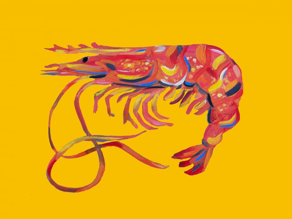 Vibrant Red Shrimp by Alice Straker — canvas wall art