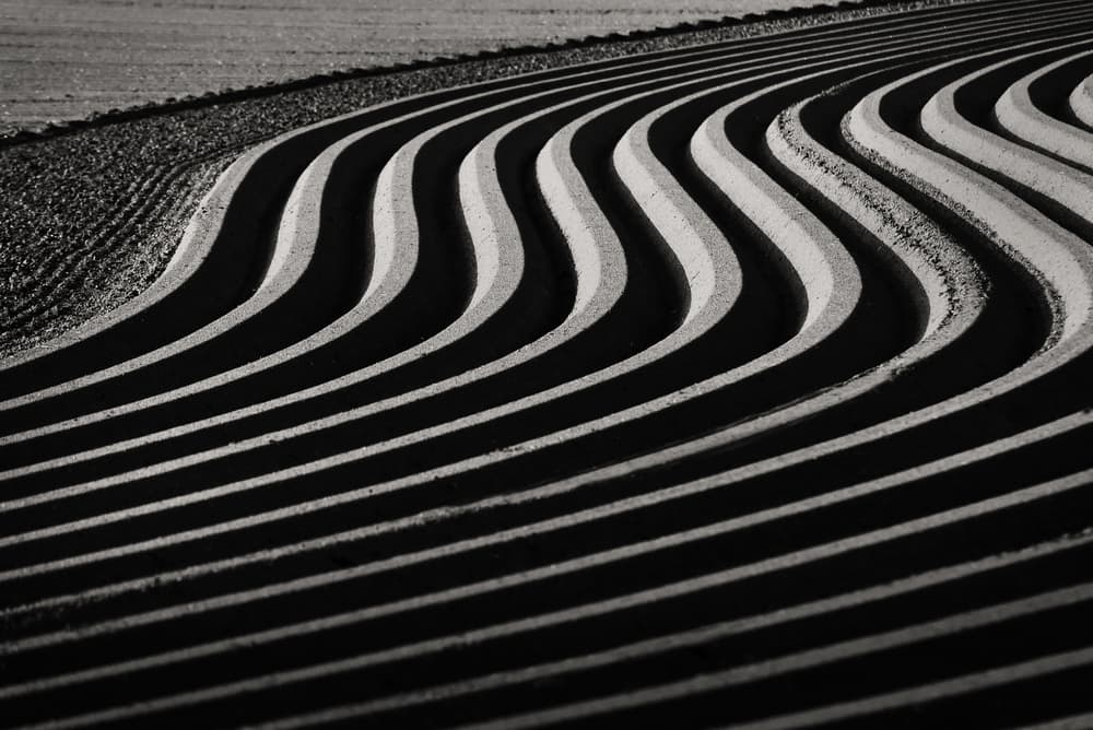 Abstract Curved Lines by Lou Urlings — canvas wall art
