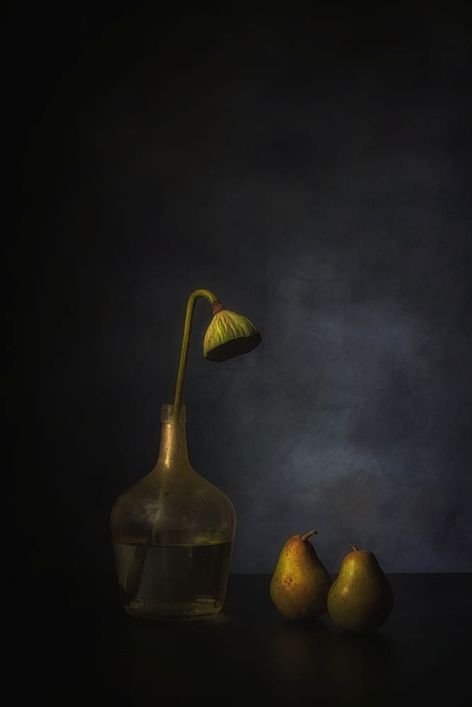 Moody Lotus and Pears by Saskia Dingemans — canvas wall art