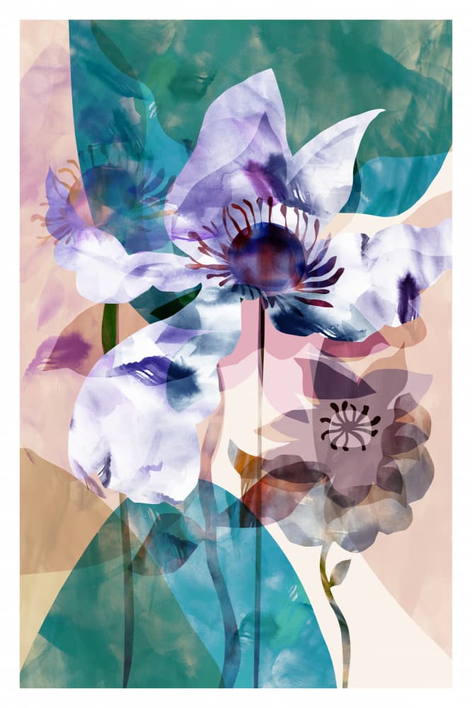 Translucent Floral Anemones by cartissi — canvas wall art