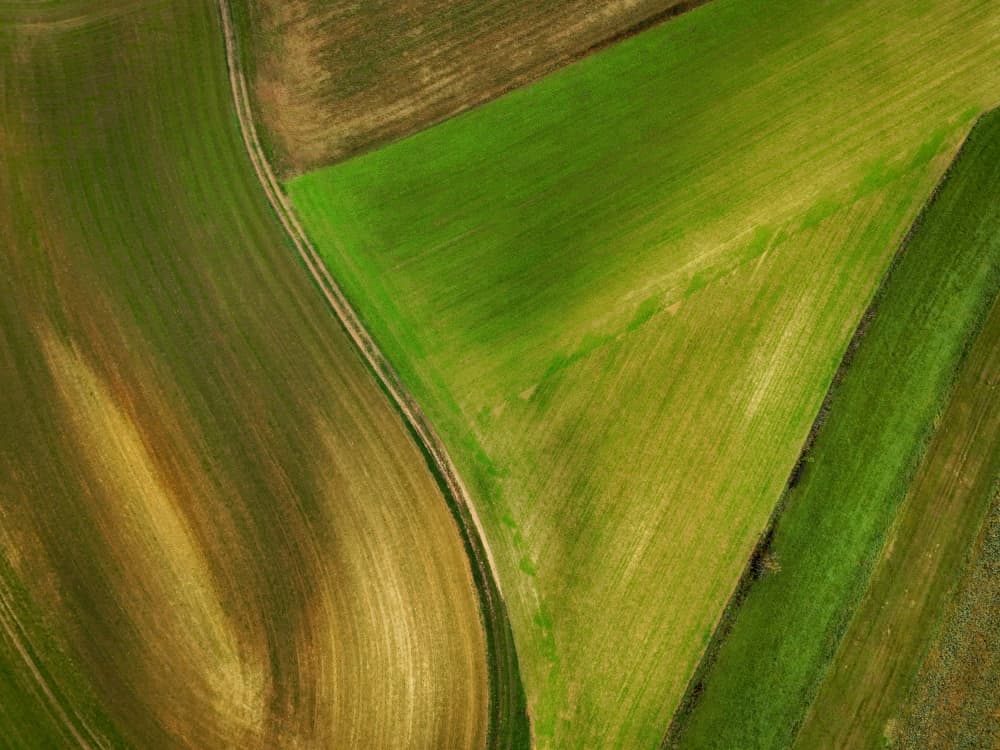 Abstract Field Patterns by Primož Kožuh — canvas wall art