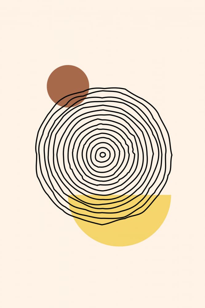Earthy Abstract Rings by jay stanley — canvas wall art