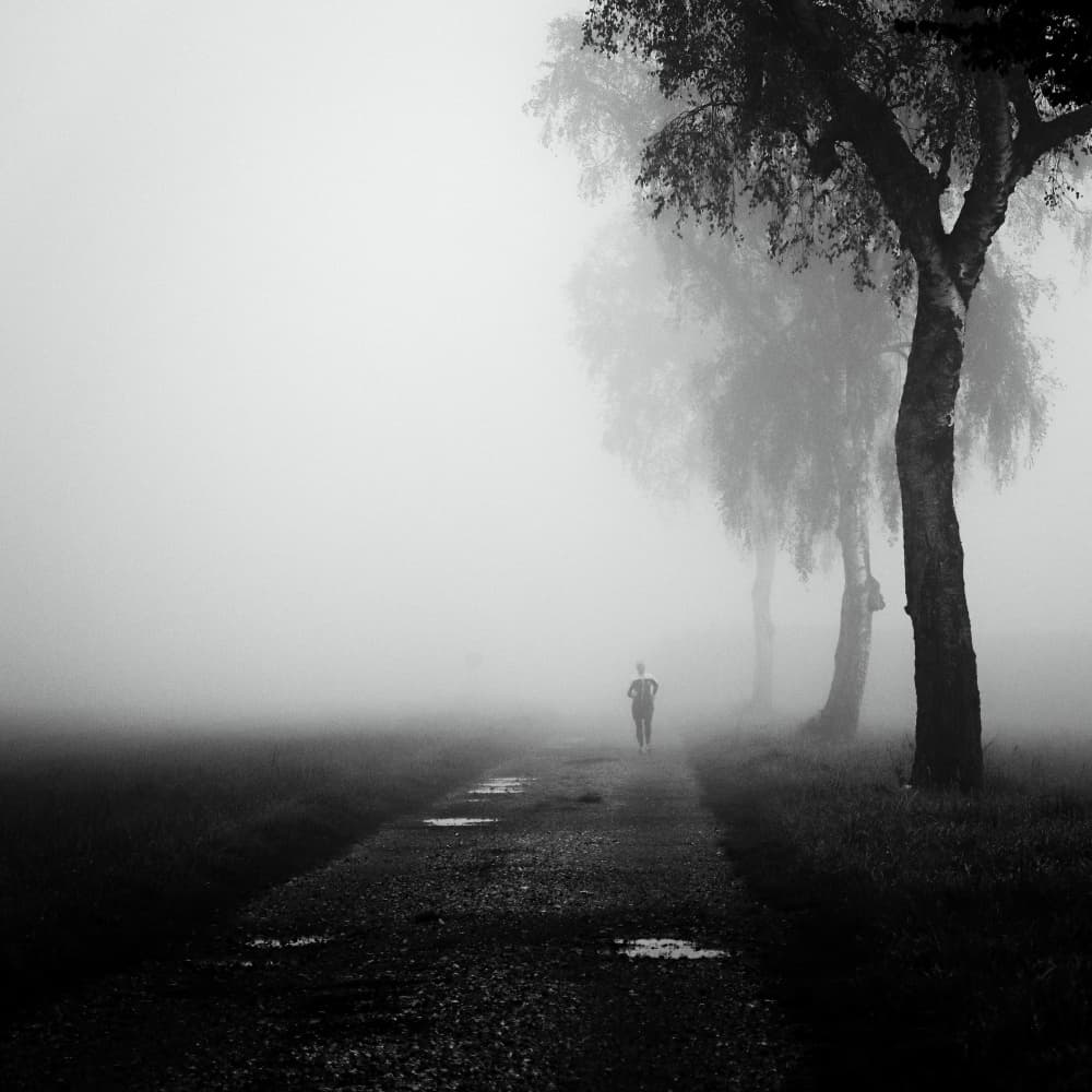 Misty Morning Run by Renate Wasinger — canvas wall art