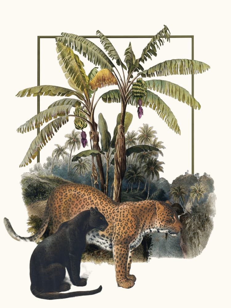Panther and Jaguar Jungle by Marja van den Hurk — canvas wall art