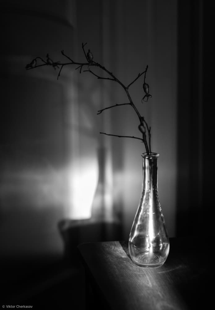 Bare Branch Shadow Play by Viktor Cherkasov — canvas wall art