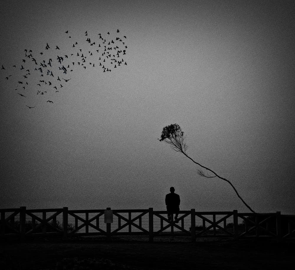 Lonely Man Flying Birds by Roxana Labagnara — canvas wall art