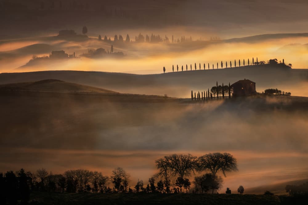 Golden Tuscan Fog by Milan Malovrh — canvas wall art