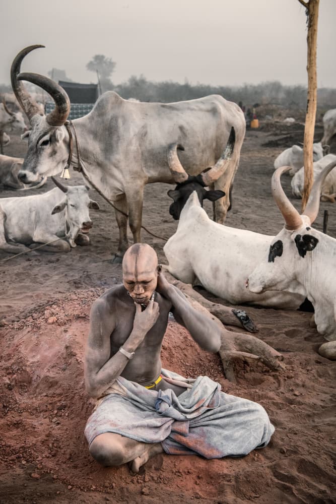 Dinka Man Cattle Camp by Trevor Cole — canvas wall art
