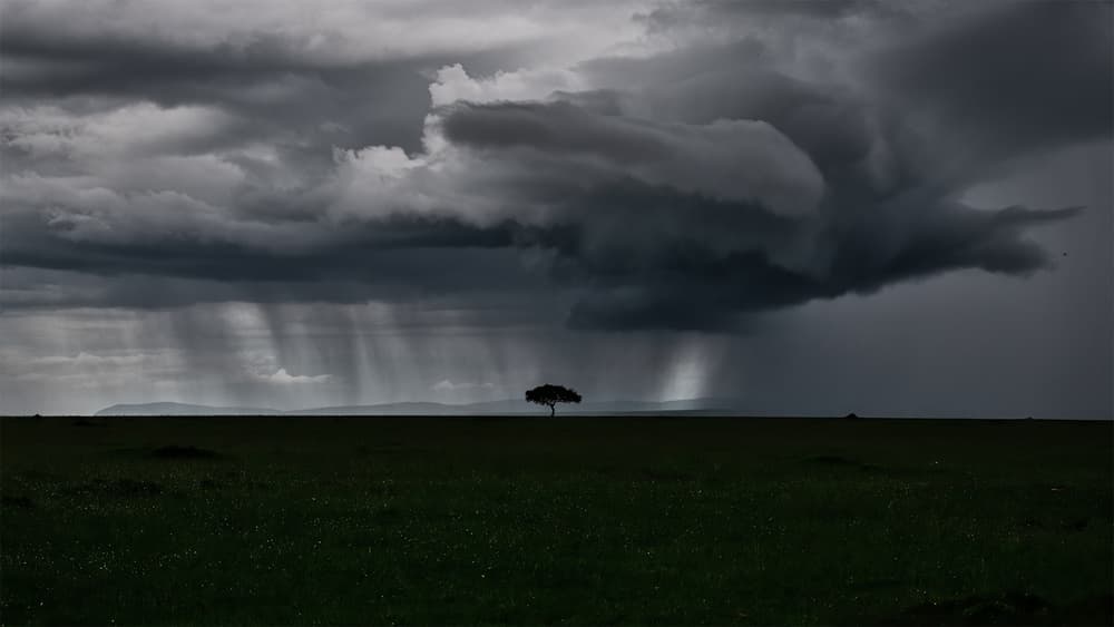 Lone Tree Rain Storm by Roberto Marchegiani — canvas wall art