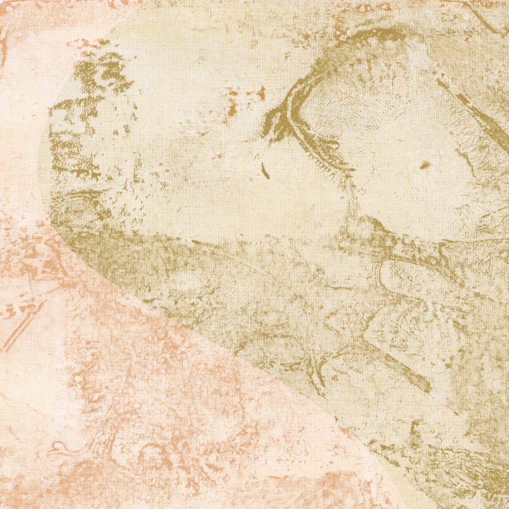 Earthy Organic Textures by Dina Dankers — canvas wall art