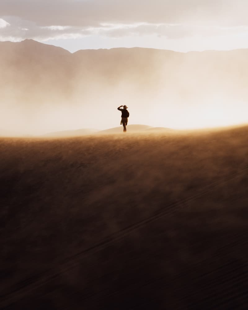 Golden Desert Solitude by Witold Ziomek — canvas wall art