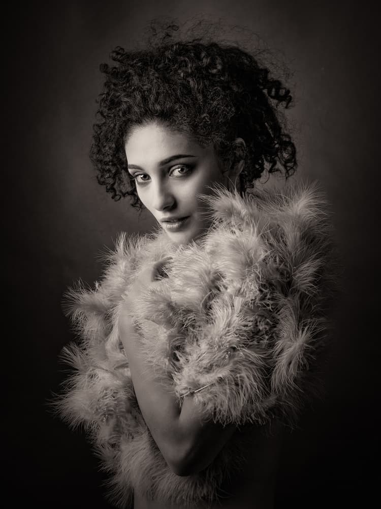 Feathered Elegance by Luc Stalmans — canvas wall art