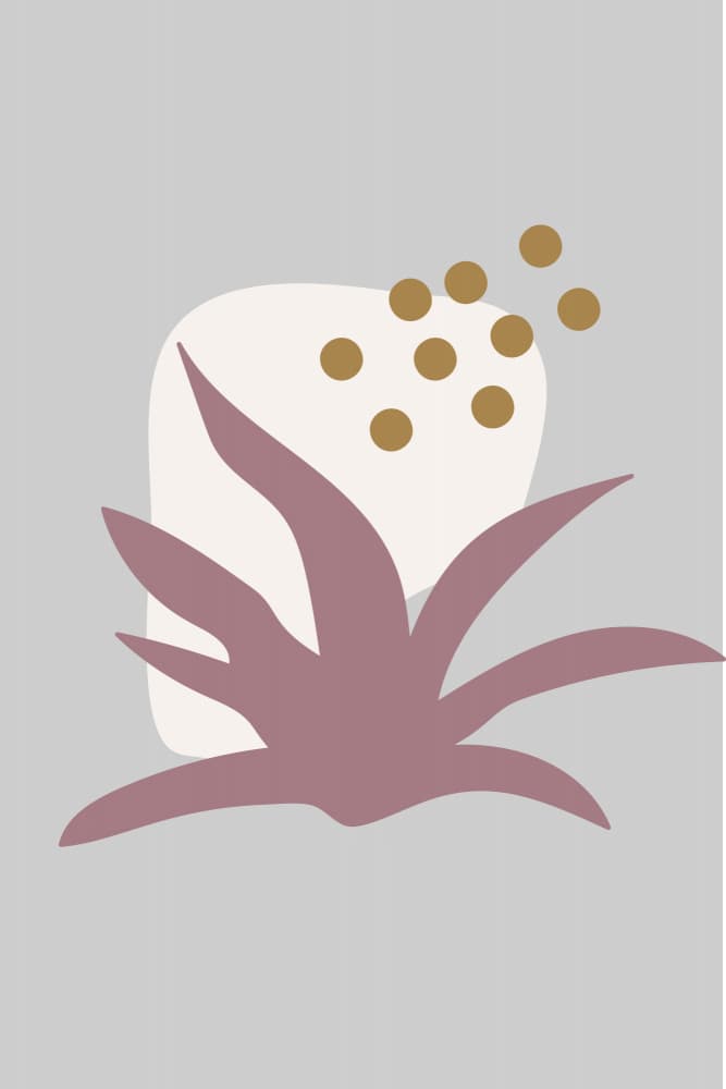 Organic Desert Plant by Dina Dankers — canvas wall art