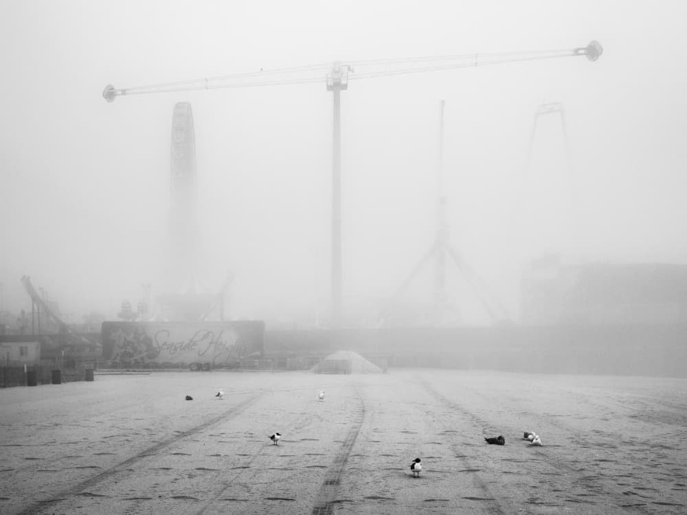 Cranes in the Fog by Scott J. Pilla — canvas wall art