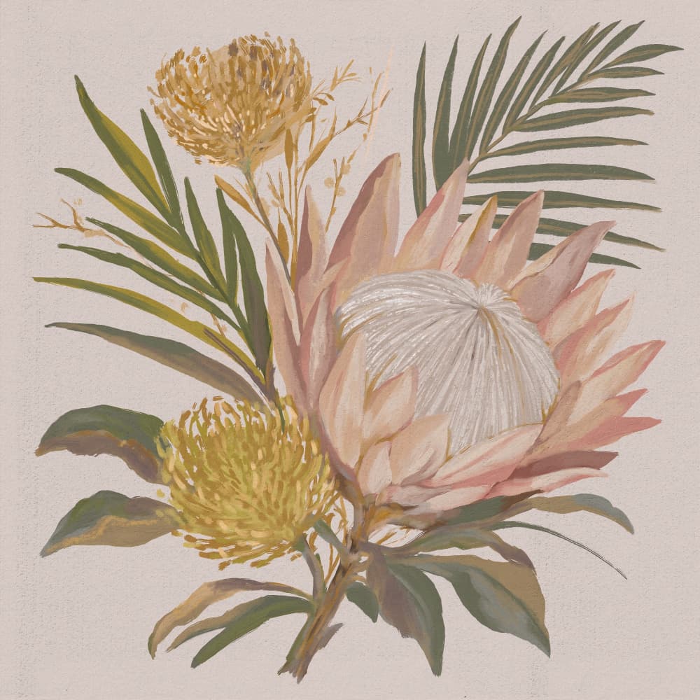 Blush Protea Bouquet by Josie George — canvas wall art