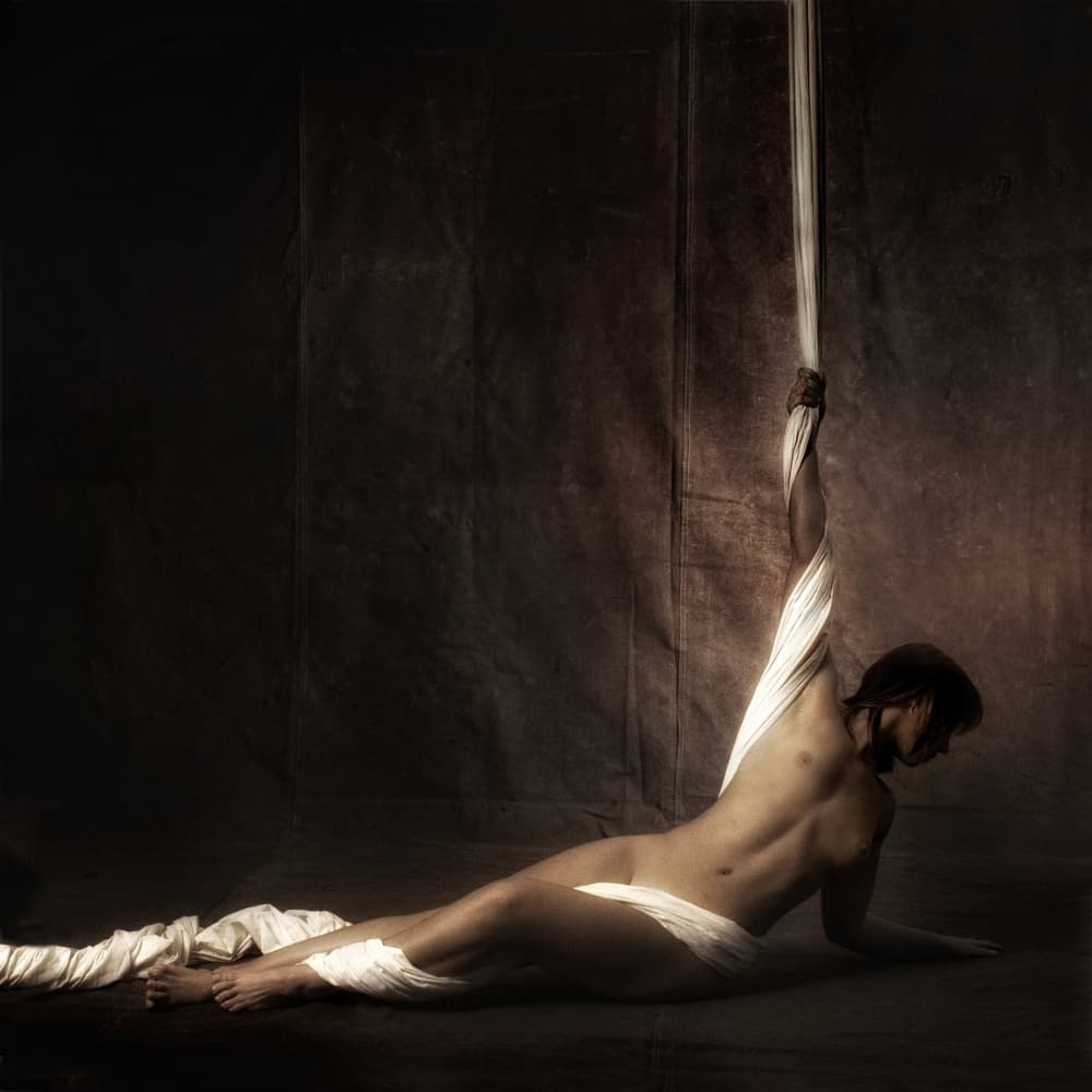 Graceful Silk Pose by Jan Donckers — canvas wall art