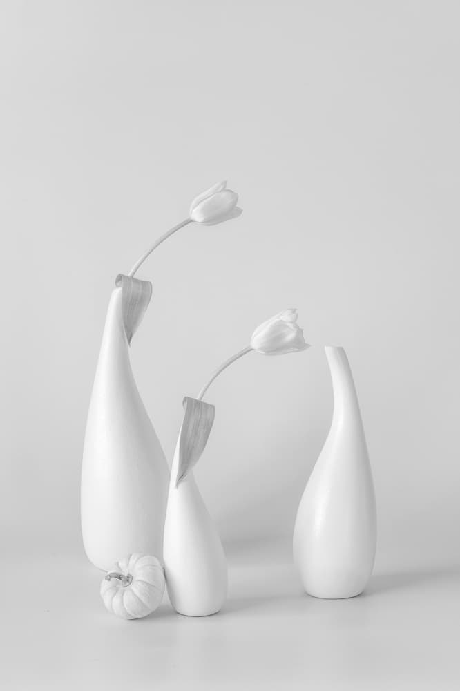 Minimalist White Tulips by Lydia Jacobs — canvas wall art