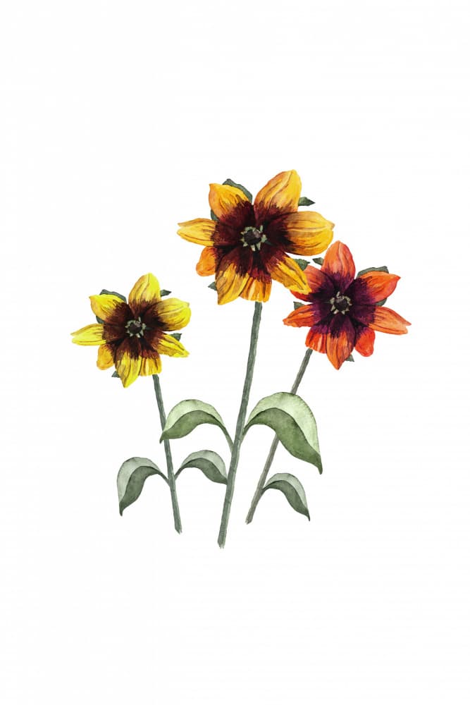 Vibrant Watercolor Flowers by Karen Menzenbach — canvas wall art