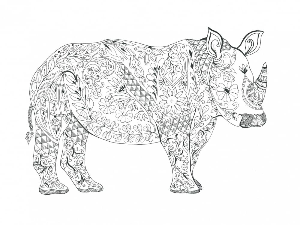 Floral Rhino Design by Isabelle Brent — canvas wall art