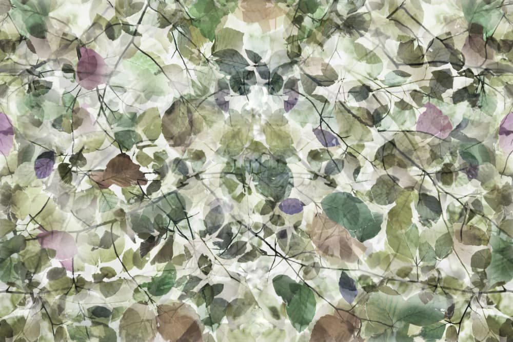 Green Leaf Layers by Christina Sillen — canvas wall art