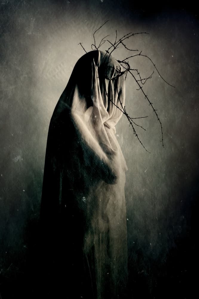 Veiled Figure with Thorns by Olga Mest — canvas wall art