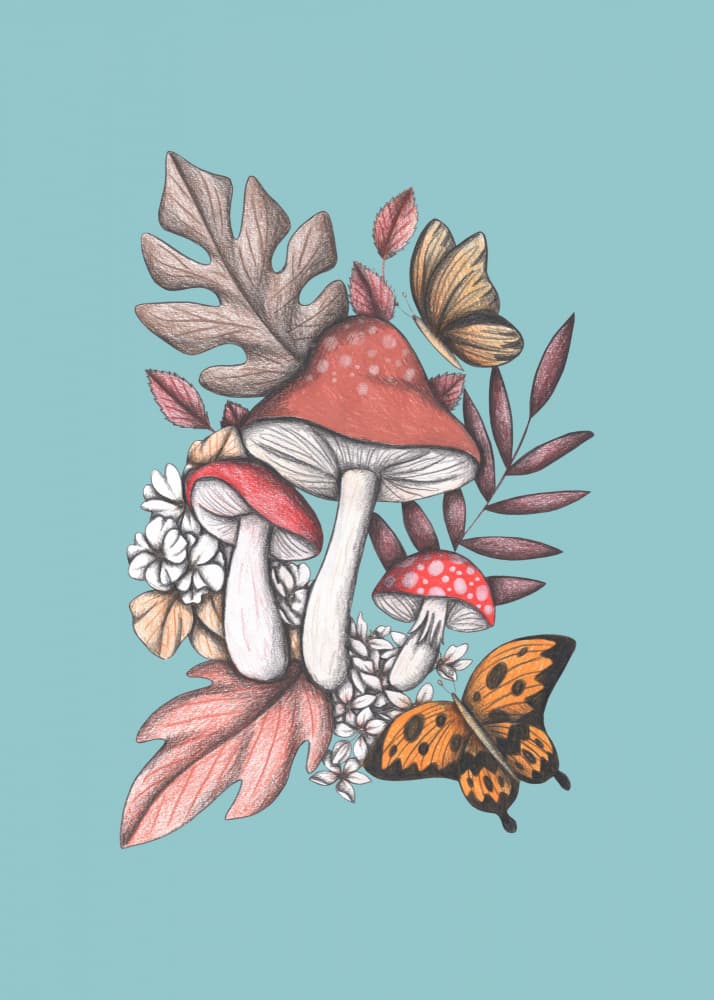 Enchanted Mushroom Butterflies by Cecilia Battaini — canvas wall art