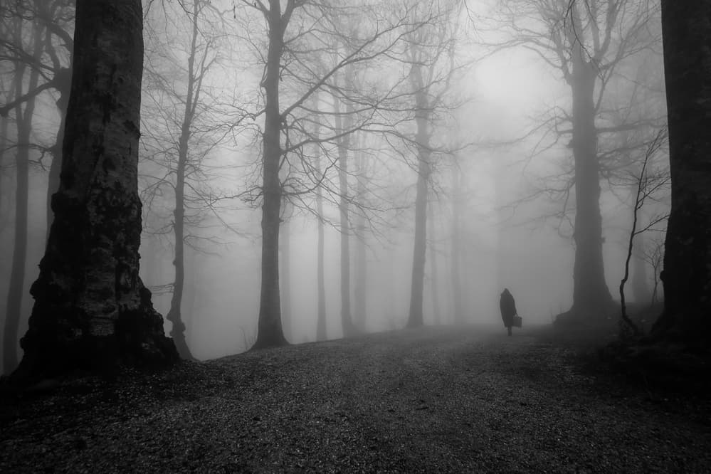 Lone Figure Misty Forest by Ummu Nisan Kandilcioglu — canvas wall art