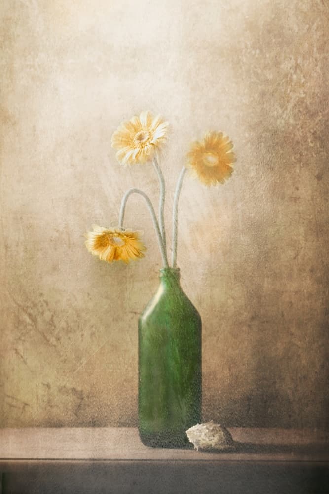 Quiet Yellow Flowers by Delphine Devos — canvas wall art