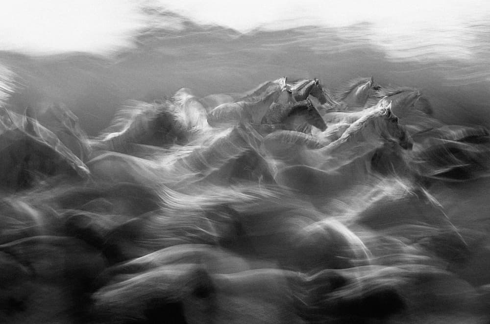 White Horses Motion Blur by Milan Malovrh — canvas wall art