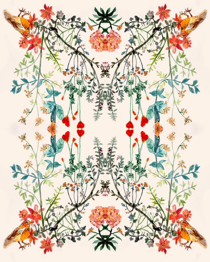 Vibrant Botanical Birds by Gemma Bardot — canvas wall art