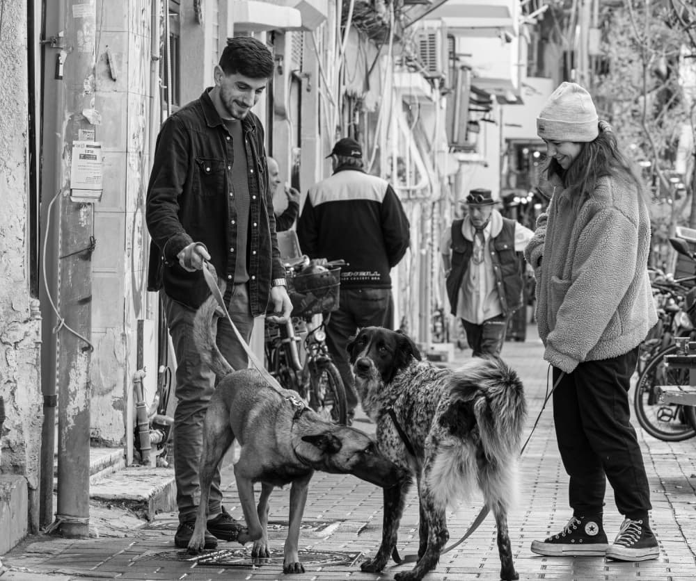Urban Dog Encounter by Itzik Einhorn — canvas wall art