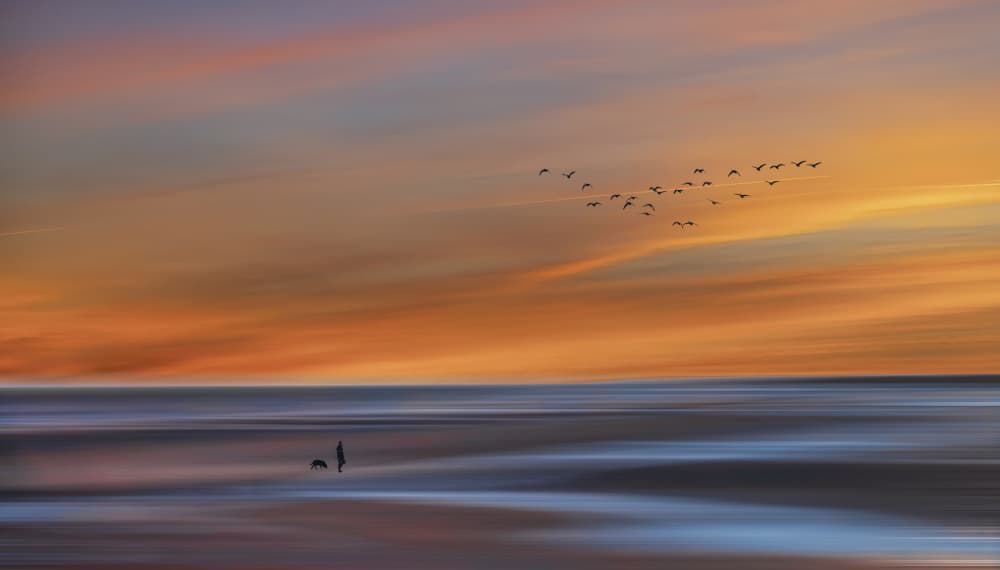 Dreamlike Coastal Sunset by Stéphane Pecqueux — canvas wall art