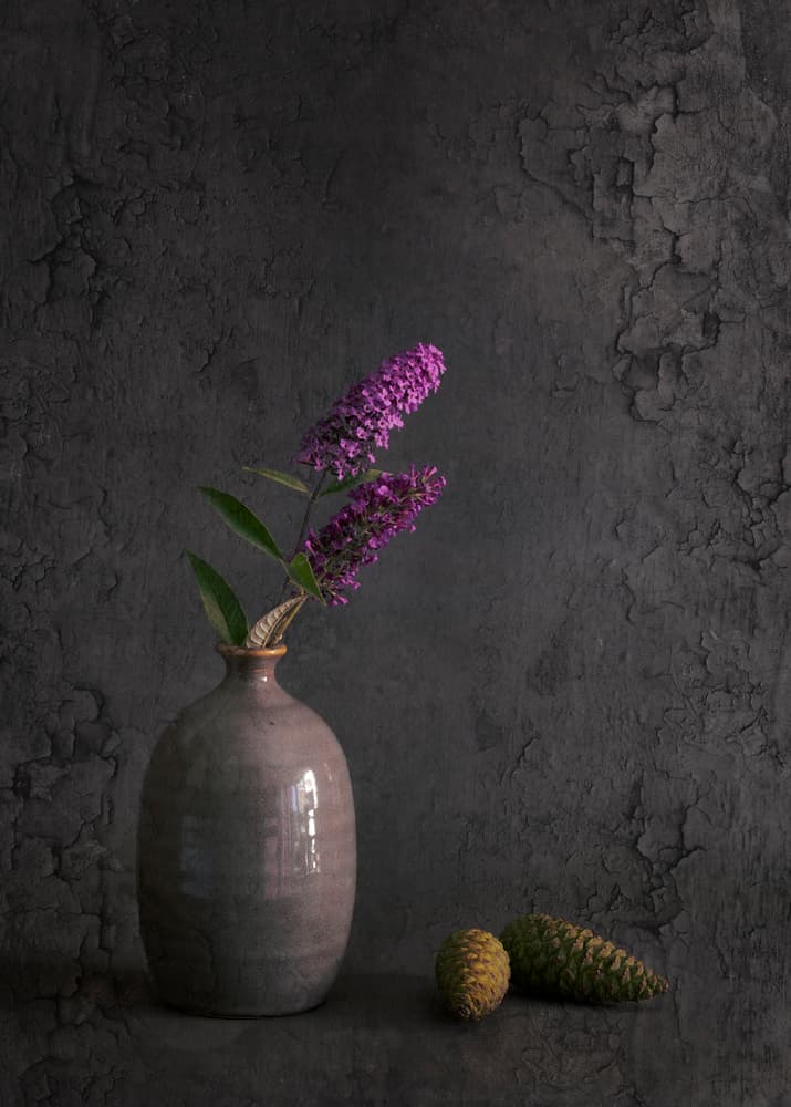 Fresh From the Garden by Cicek Kiral — canvas wall art