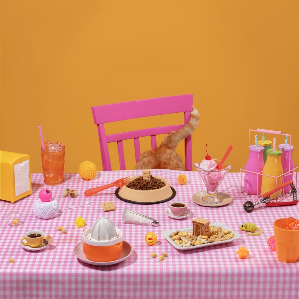 Colorful Cat Feast by Julia Ramiro — canvas wall art
